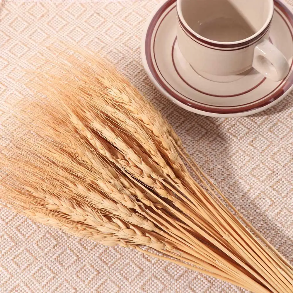 50pcs Artificial Flower Natura - Dried Flower Bulk recensie en prijs