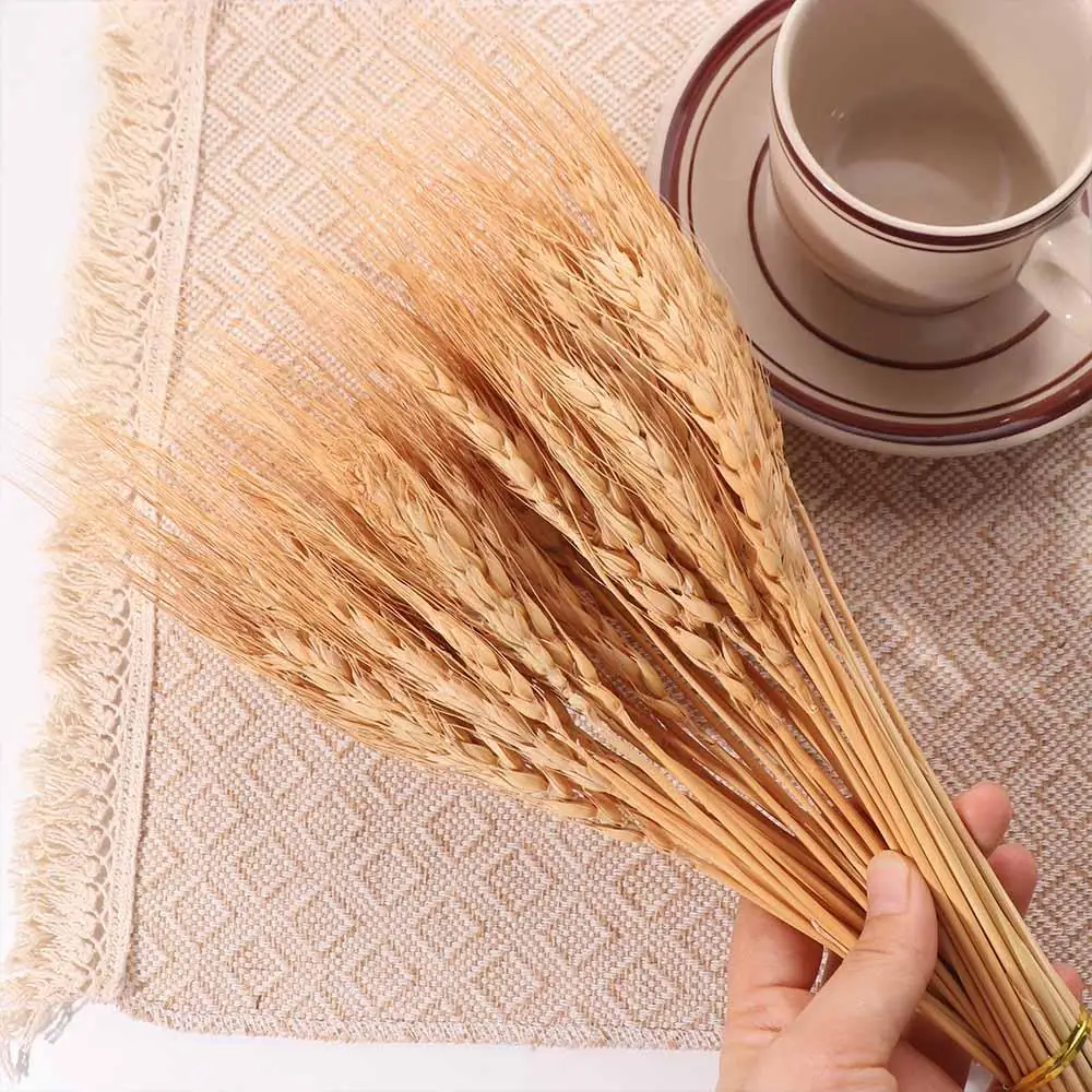 50pcs Artificial Flower Natura - Dried Flower Bulk recensie en prijs