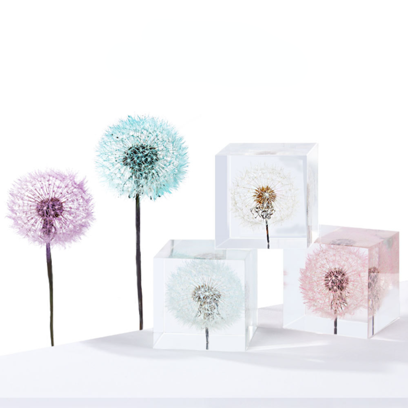 Dandelion preserved fresh flow - Flower Preservation Resin recensie en prijs