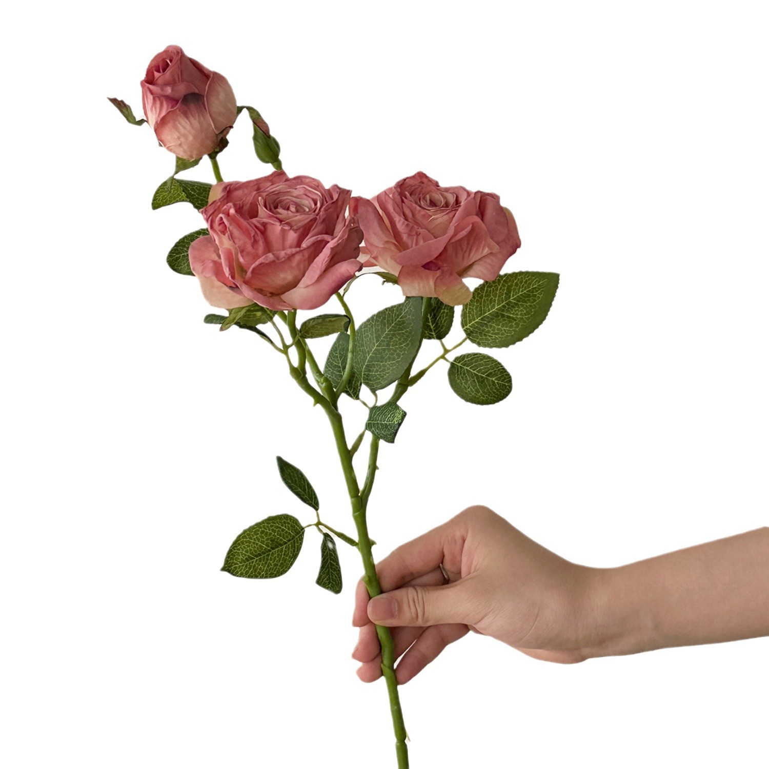 Artificial Flower Retro Decora - Dried Flower Bulk recensie en prijs