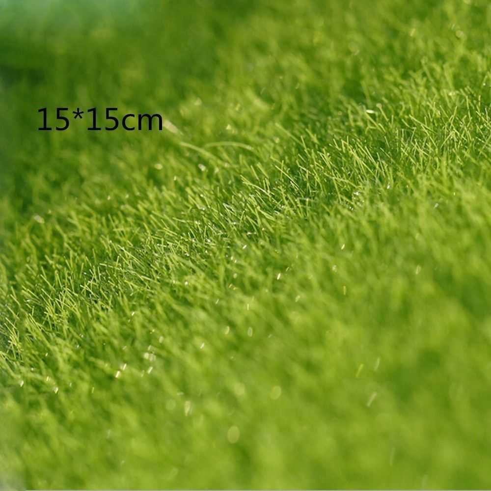Ecological Lawn Decor Garden O - Terrarium Moss Art recensie en prijs