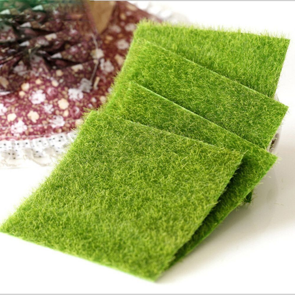 Ecological Lawn Decor Garden O - Terrarium Moss Art recensie en prijs