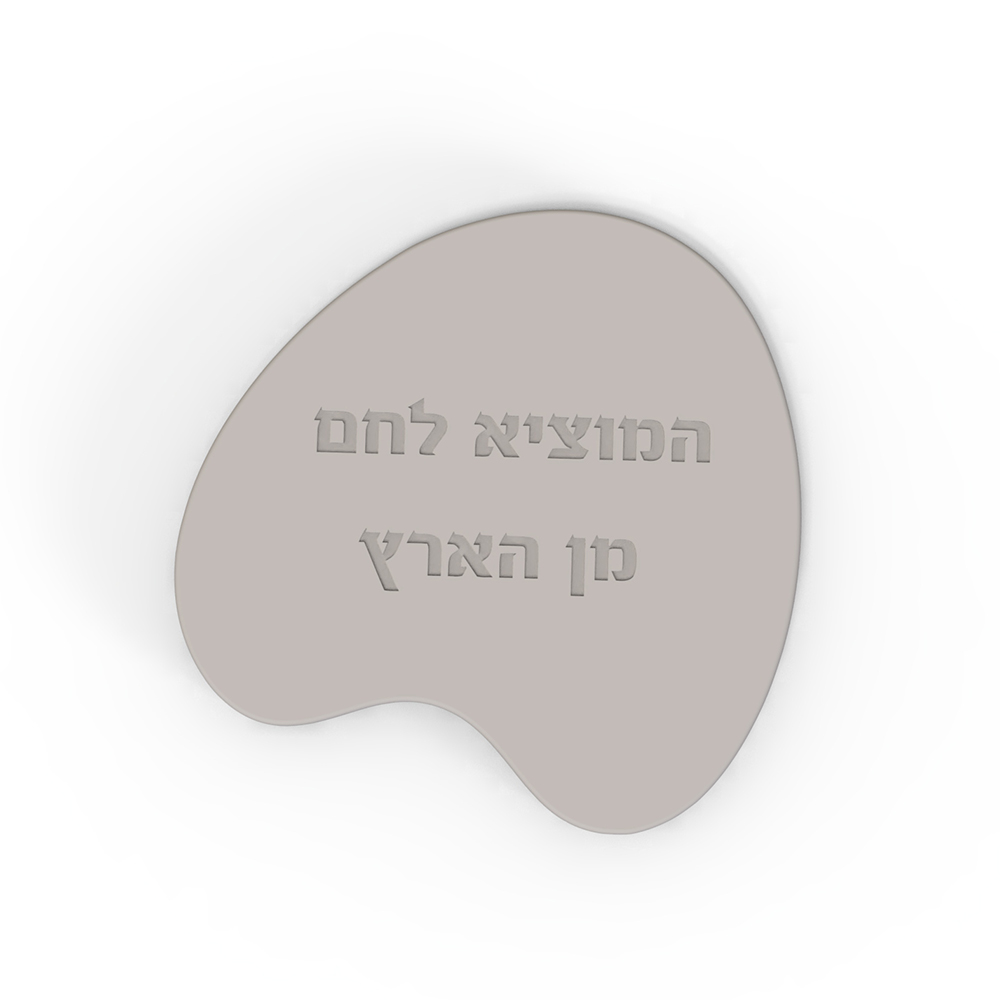Silicone Mold for Challah Boar - Serving Tray Mold recensie en prijs