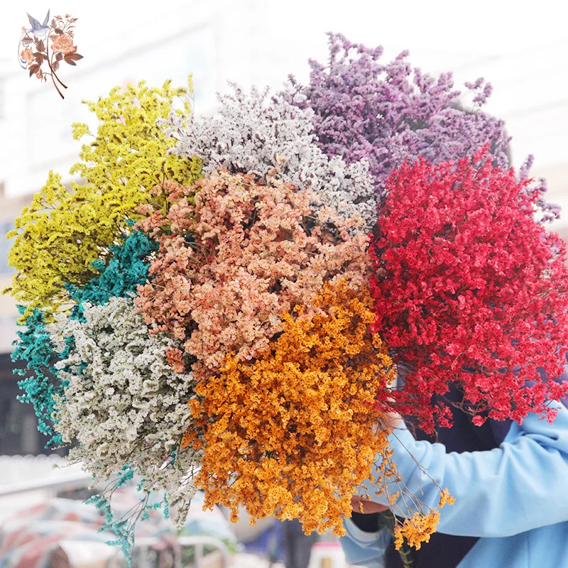Dried Flowers Natural Crystal  - Dried Flower Bulk recensie en prijs