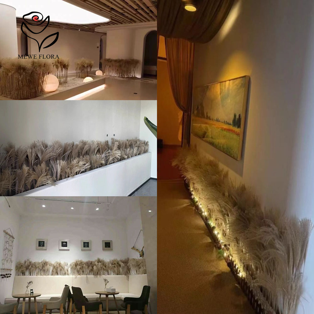 200PCS Natural Dried Fluffy Re - Dried Flower Bulk recensie en prijs