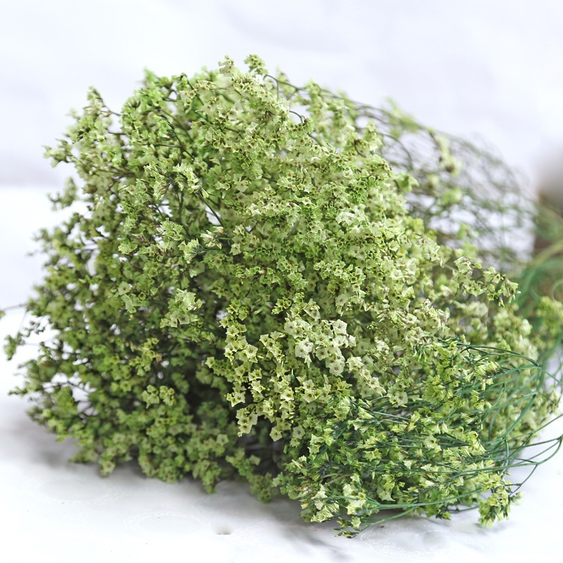 Natural Fresh Dried Preserved  - Dried Flower Bulk recensie en prijs