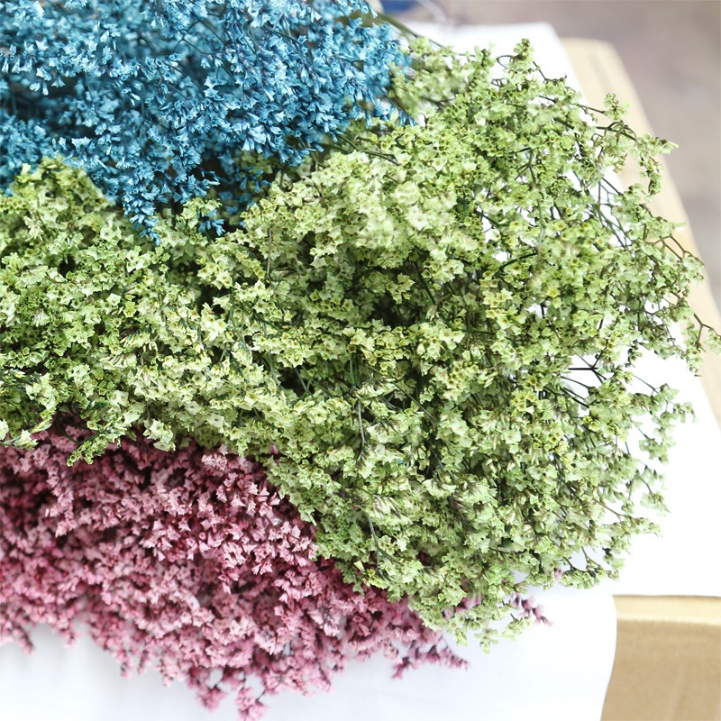 Natural Fresh Dried Preserved  - Dried Flower Bulk recensie en prijs