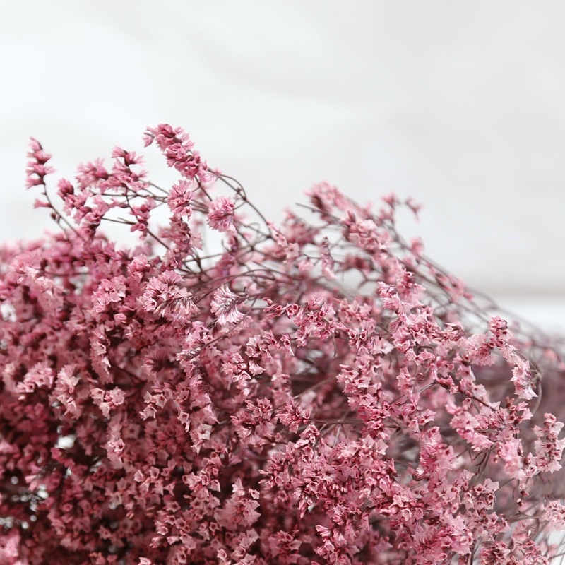 Natural Fresh Dried Preserved  - Dried Flower Bulk recensie en prijs