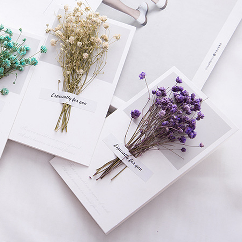 10pcs A Gift Card Wedding Invi - Dried Flower Bulk recensie en prijs