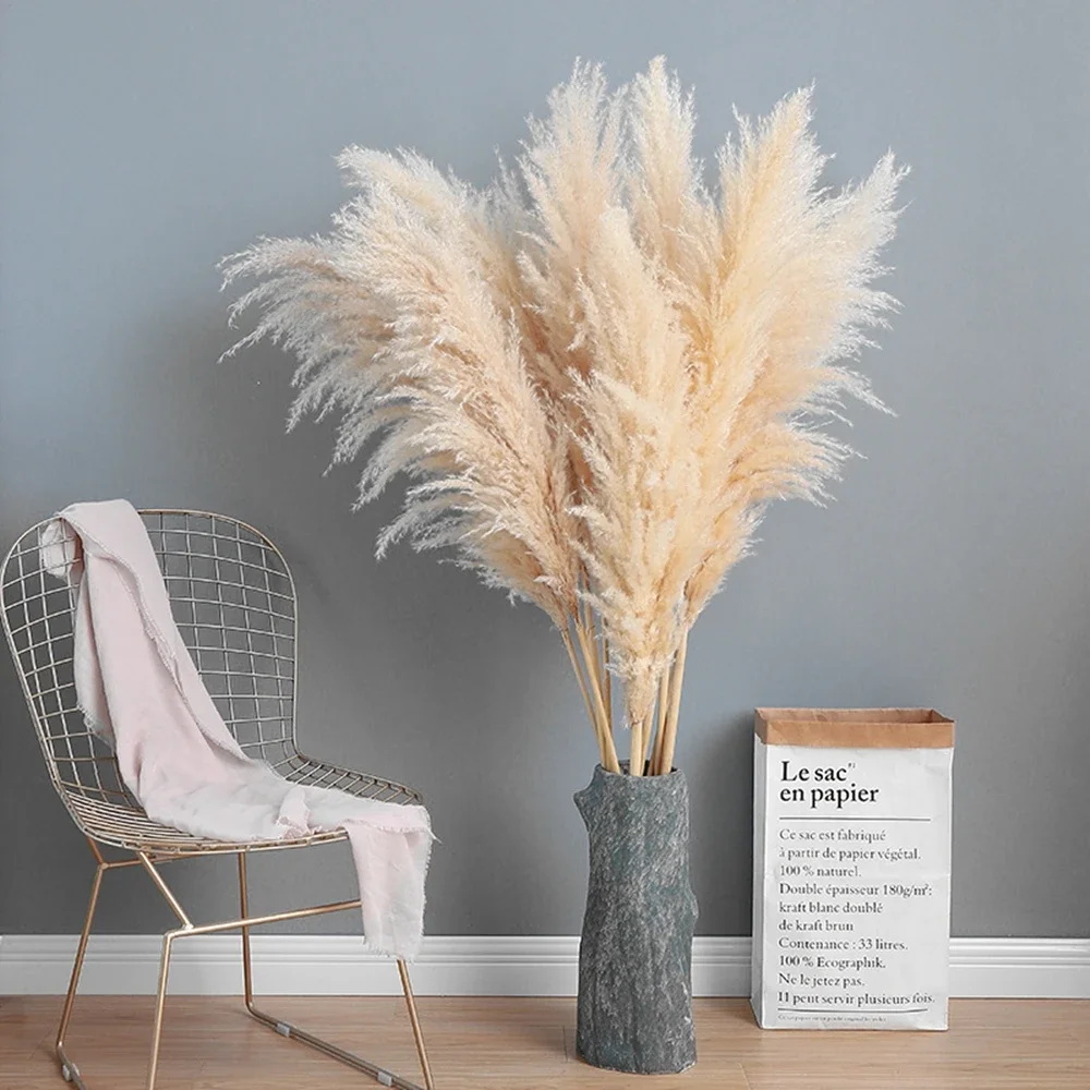 120cm - 130cm Fluffy Large Pam - Dried Flower Bulk recensie en prijs