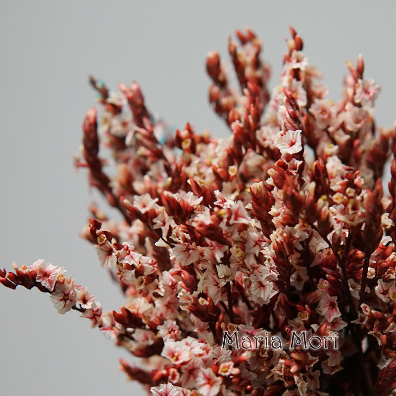 5g/ Colorful Dired Preserved C - Flower Preservation Resin recensie en prijs