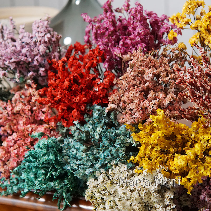 5g/ Colorful Dired Preserved C - Flower Preservation Resin recensie en prijs