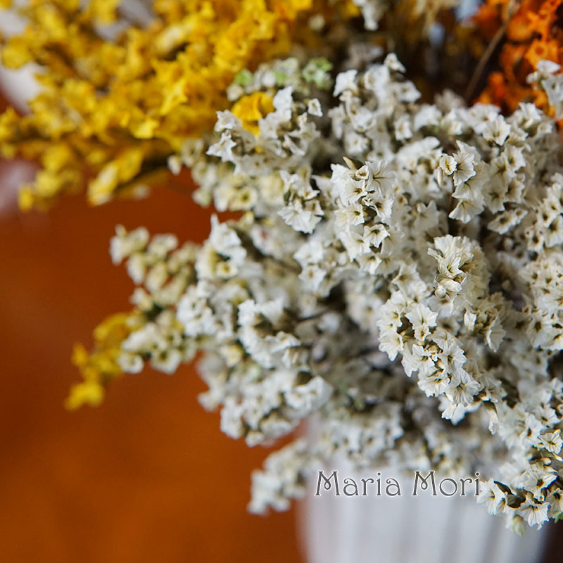 5g/ Colorful Dired Preserved C - Flower Preservation Resin recensie en prijs