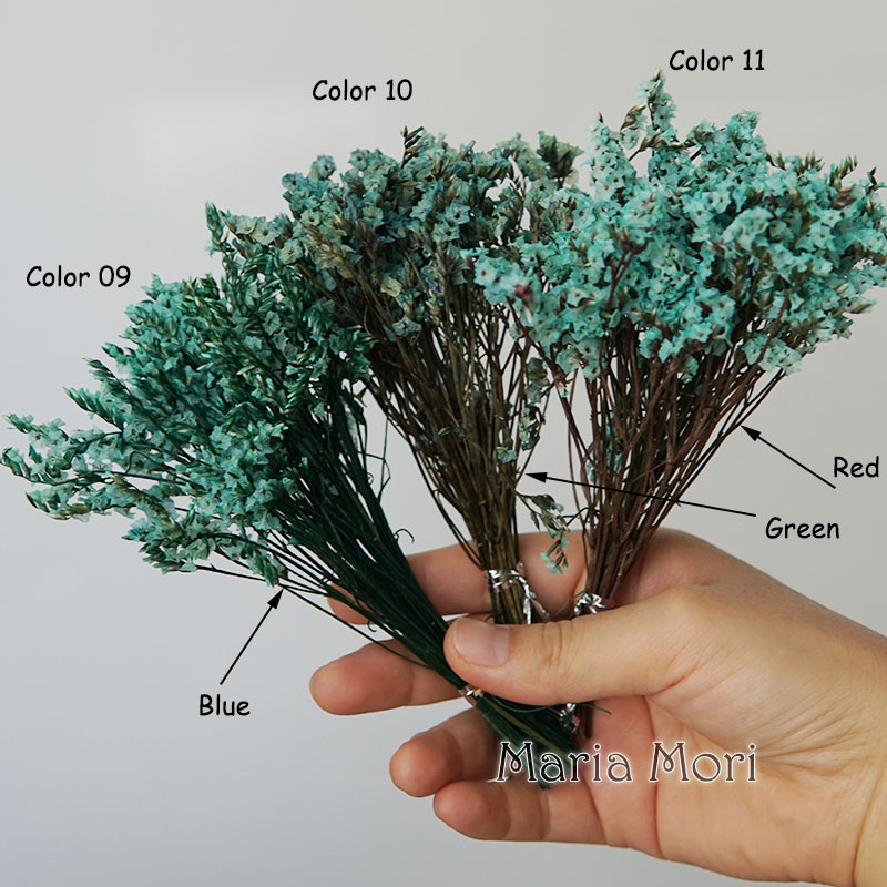 5g/ Colorful Dired Preserved C - Flower Preservation Resin recensie en prijs