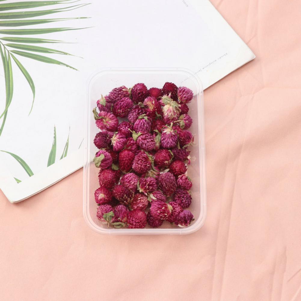 Natural Flowers Diy Dried Flow - Dried Flower Bulk recensie en prijs