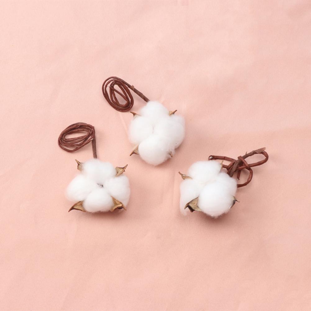 Natural Flowers Diy Dried Flow - Dried Flower Bulk recensie en prijs