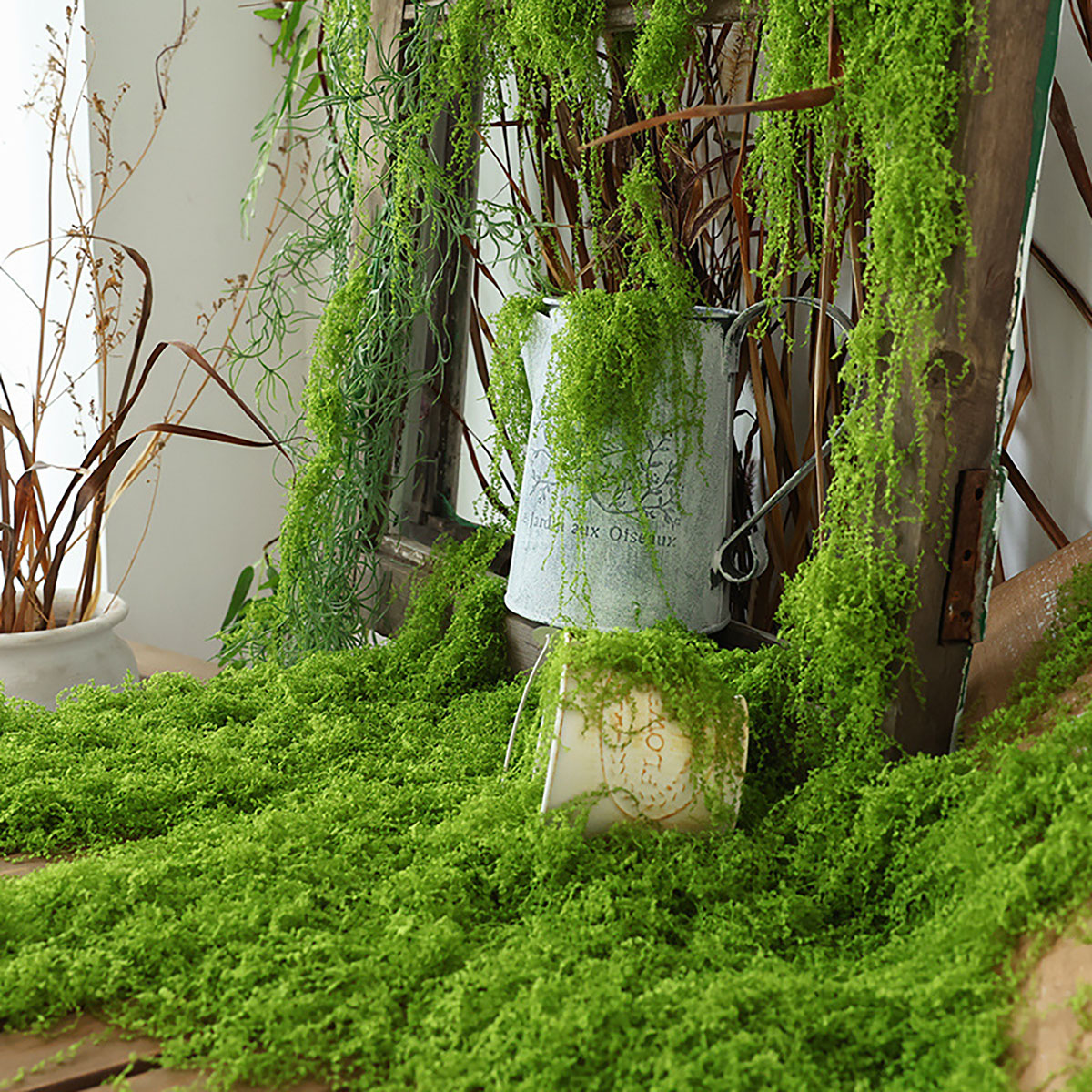 about 20g Artificial Green Pla - Terrarium Moss Art recensie en prijs