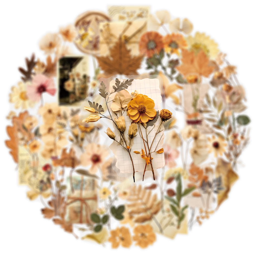 10/30/50pcs Transparent Dried  - Dried Flower Bulk recensie en prijs