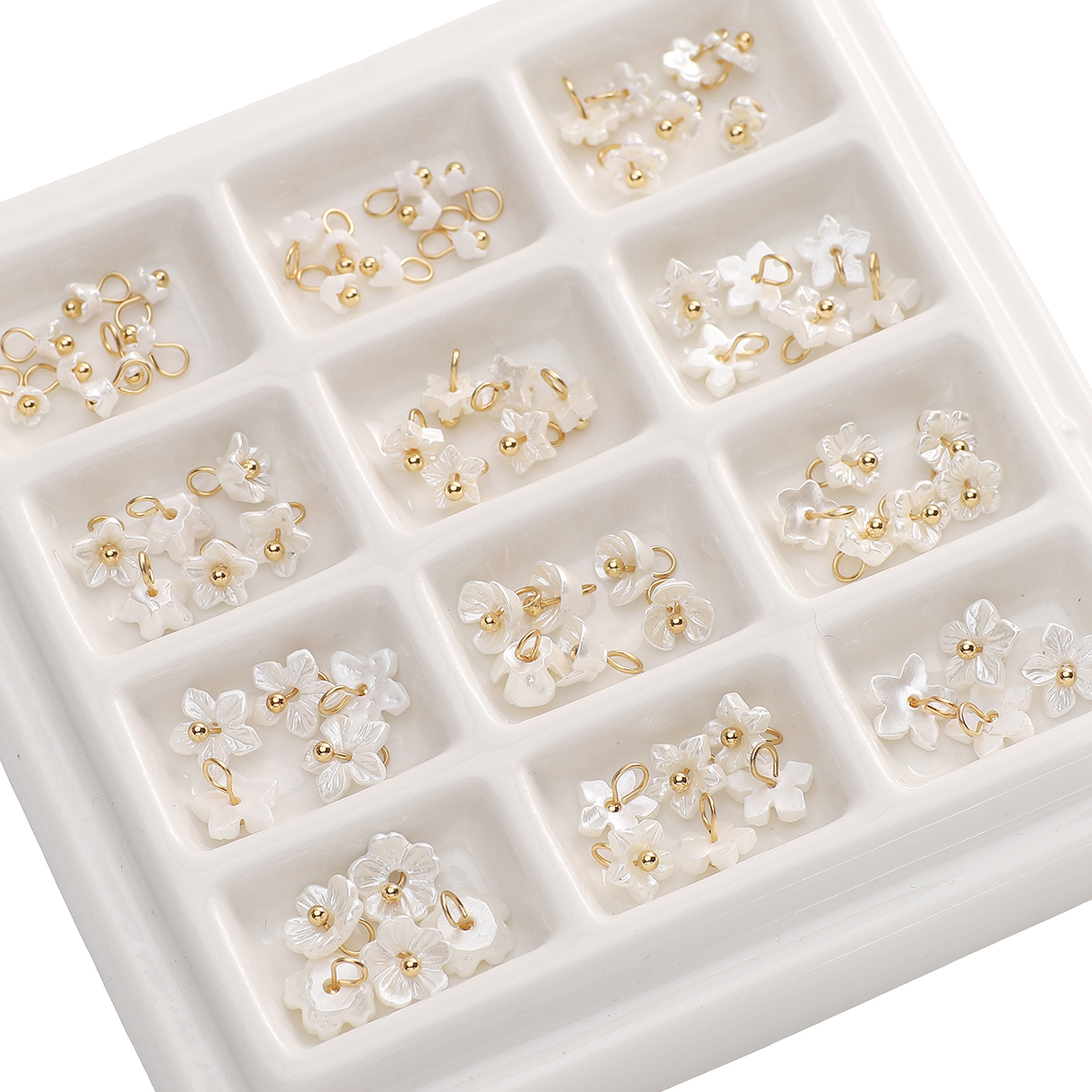 5pcs White Mini Small Flowers  - Flower Preservation Resin recensie en prijs