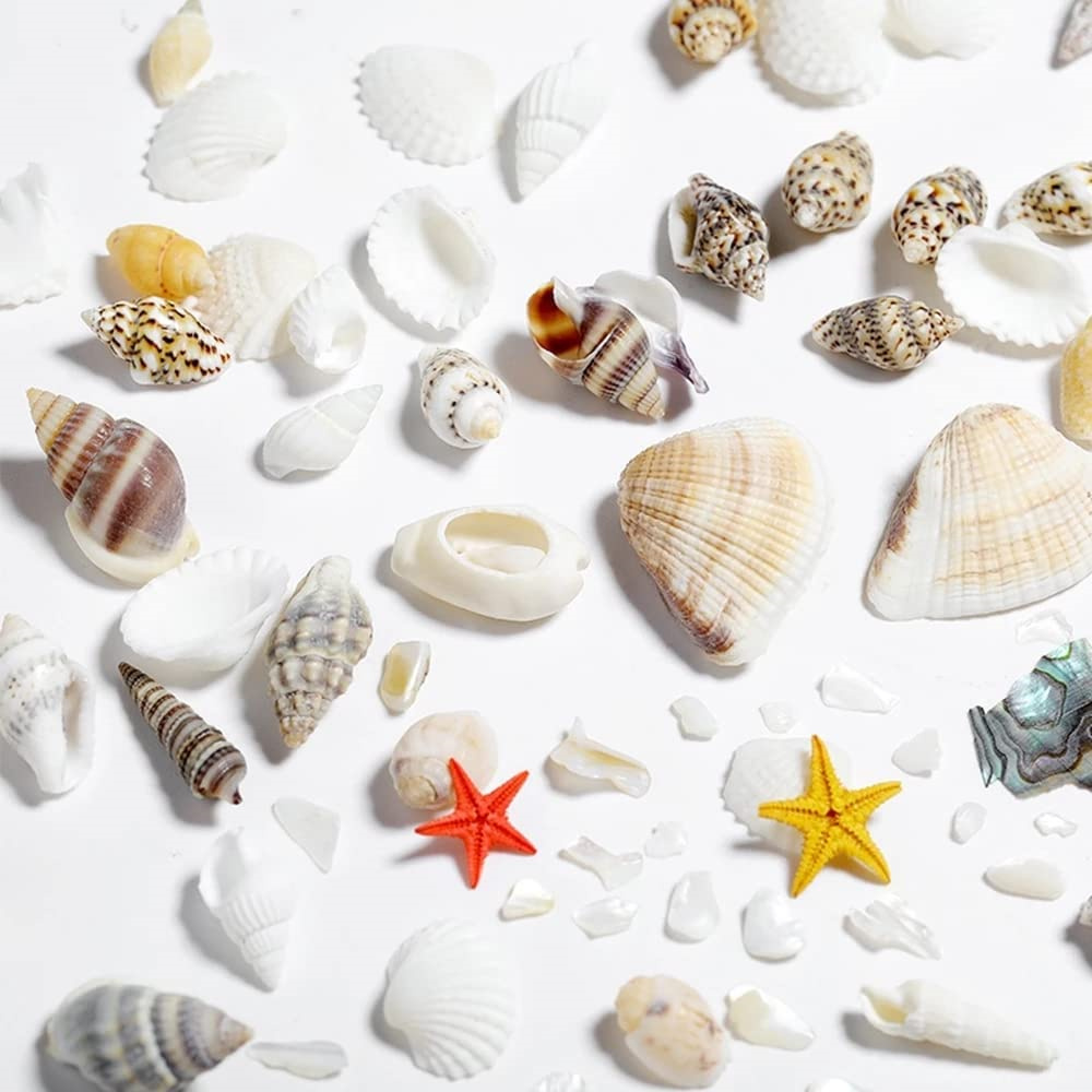 1Box Sea Shells Pearl Resin Fi - Resin Ocean Wave Mold recensie en prijs