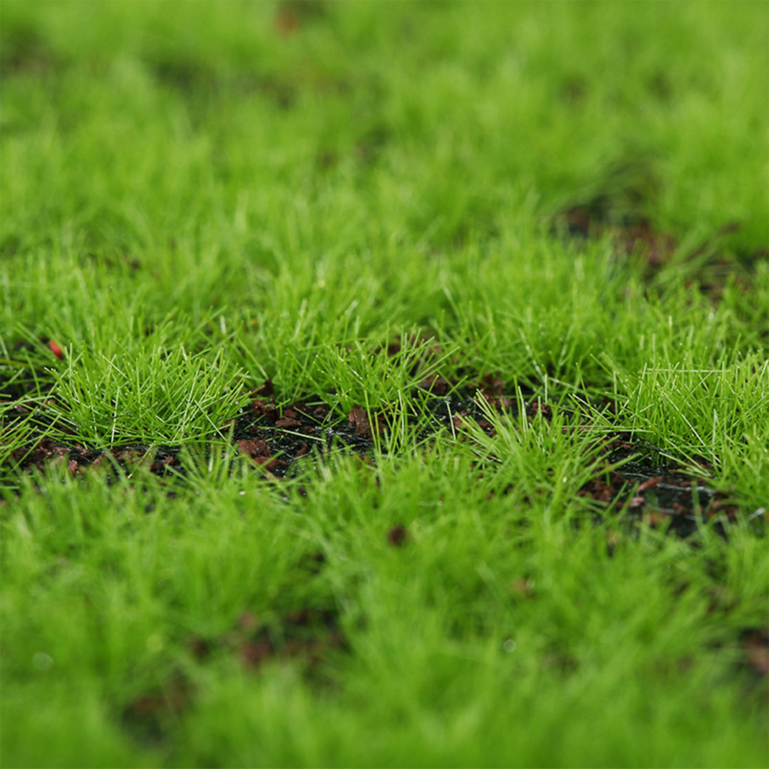 Artificial Moss Turf Simulatio - Terrarium Moss Art recensie en prijs