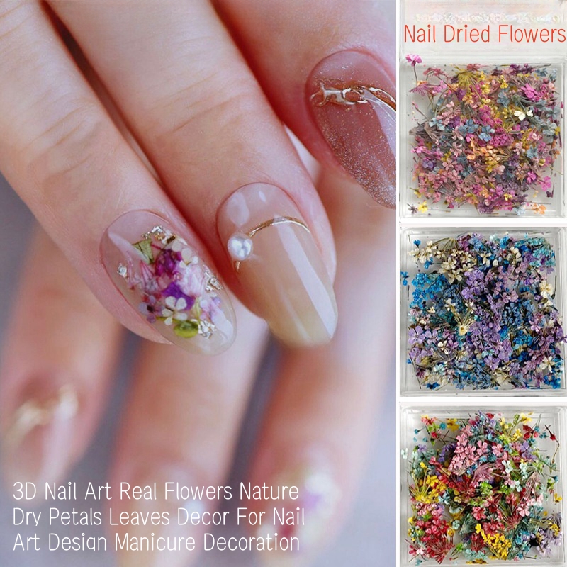 Mixed Small Dried Flowers Nail - Dried Flower Bulk recensie en prijs