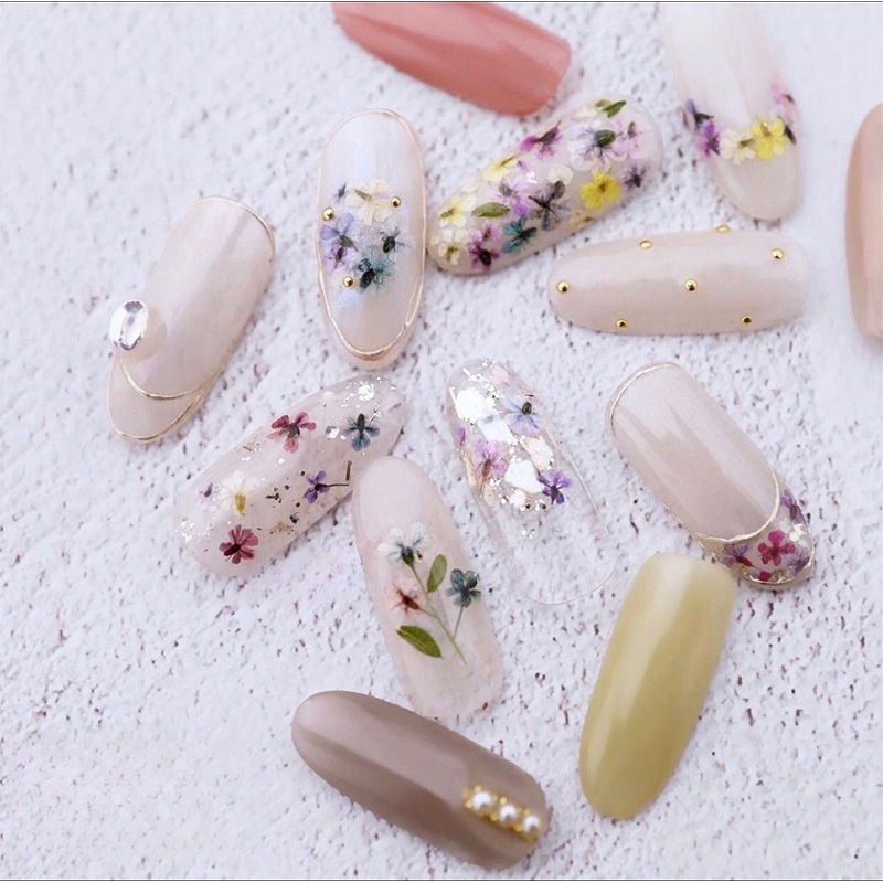 Mixed Small Dried Flowers Nail - Dried Flower Bulk recensie en prijs