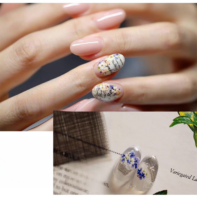 Mixed Small Dried Flowers Nail - Dried Flower Bulk recensie en prijs